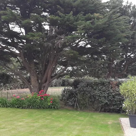 Babounia * 梅尔河畔的巴兹